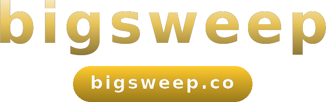 bigsweep logo